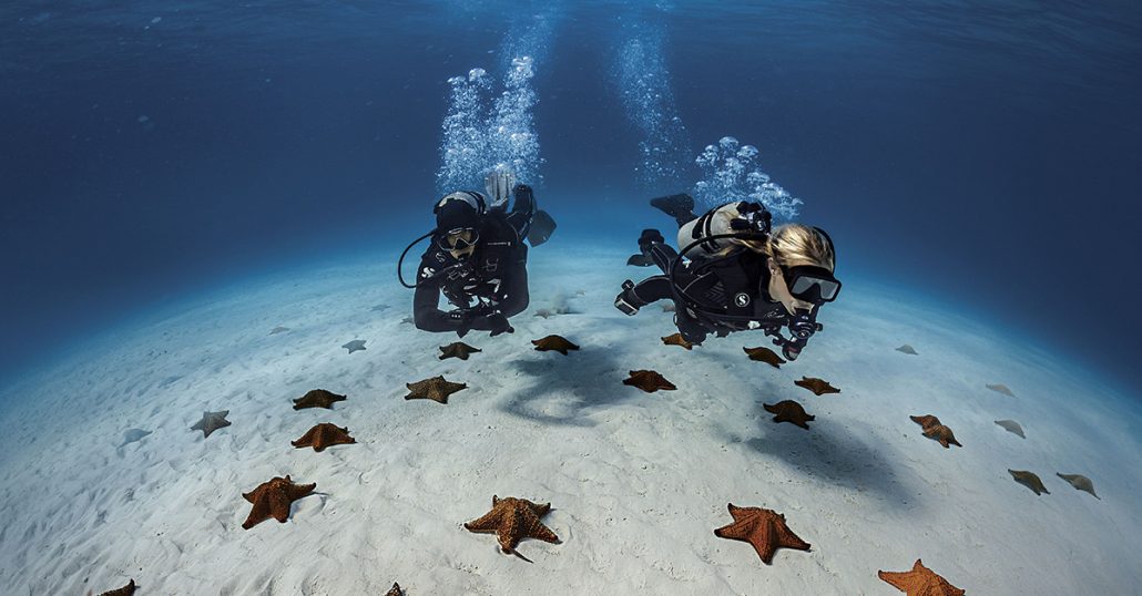 Open Water Scuba Diver